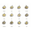 Gold Stainless Steel Zodiac Pendants, Astrological Signs Set of 12, 3/4 inch diameter